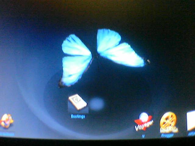 AltParty2003_MorphOS_butterfly.jpg